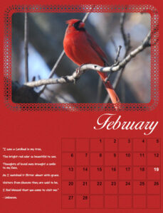 calendar-02-2022-february-2022-cardinal-600