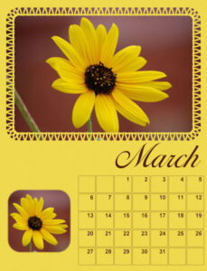 calendar-03-2022-march-2022-yellow-daisy-600