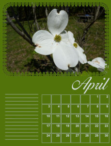 calendar-04-2022-april-2022-dogwood-600