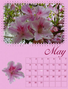 calendar-05-2022-may-2022-azalea-600