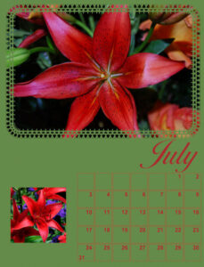 calendar-07-2022-july-2022-lily-600