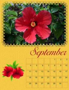 calendar-09-2022-september-2022-hibiscus-600