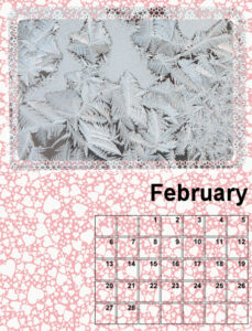 my-calendar-02-2022