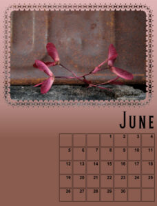 my-calendar-06-2022-600