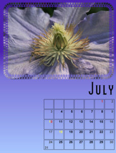 my-calendar-07-2022-600