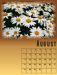 my-calendar-08-2022-600