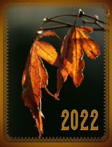 my-calendar-cover-2-2022-600