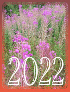 my-calendar-cover-2022a
