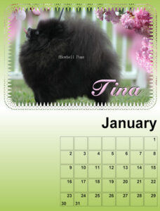 my-calendar-01-2021-resized-2