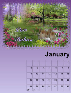 my-calendar-02-2021-resized-2