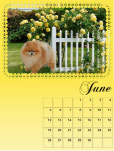 my-calendar-06-2022