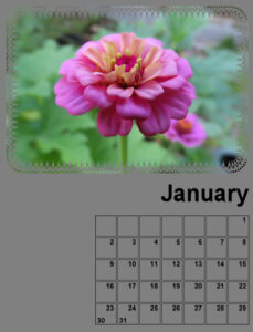 my_calendar-01-2022-600
