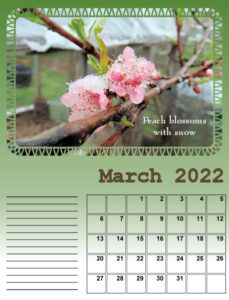 my_calendar-03-2022_600