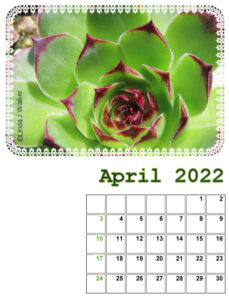 my_calendar-04-2022_600