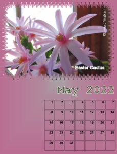 my_calendar-05-2022_600