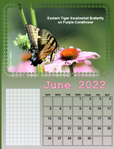 my_calendar-06-2022_600