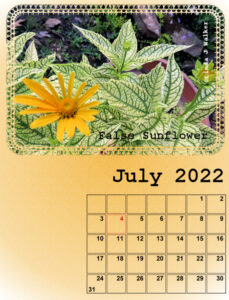 my_calendar-07-2022_600