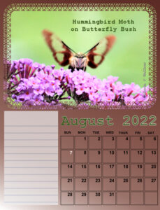 my_calendar-08-2022_600