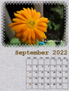 my_calendar-09-2022_600