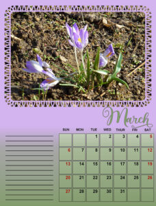 mc_calendar-03-2022-2