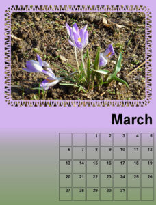 mc_calendar-03-2022