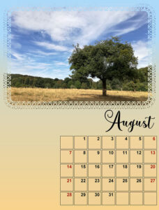 mc_calendar-08-2022