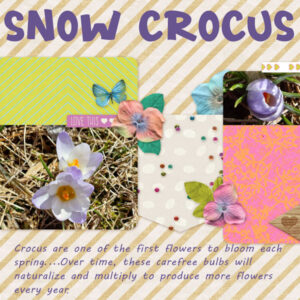 2021-11-19-snow-crocus-ps_marisa-lerin_107847_garden-party-quick-page-03_cu-600