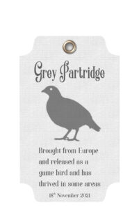 grey-partridge-family-1