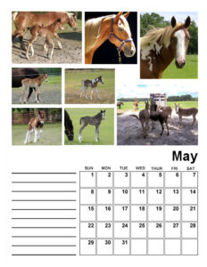 2022-5-may-calendar-page-600
