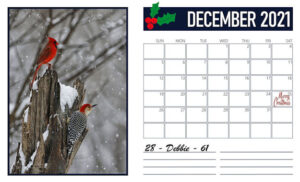 december-calendar-2021_scaled