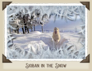 sioban-in-the-snow-frosty-frame-2