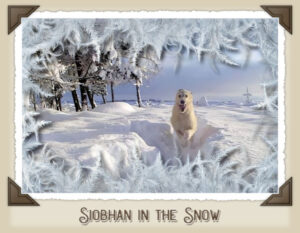 siobhan-in-the-snow-frosty-frame