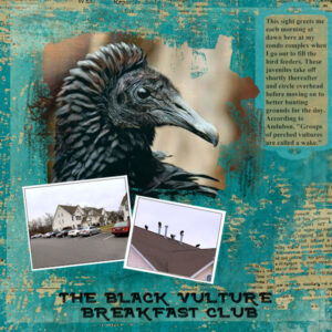 the-black-vulture-breakfast-club_600