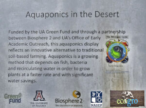 aquaponics-in-the-desert