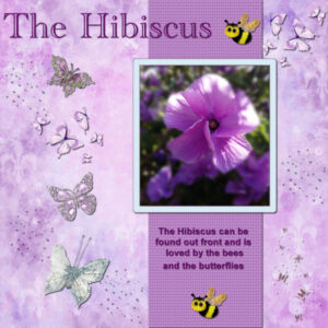 day-3-hibiscus-600-2