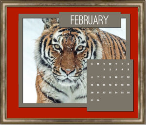 february_red-background