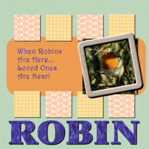robin-project-5-600