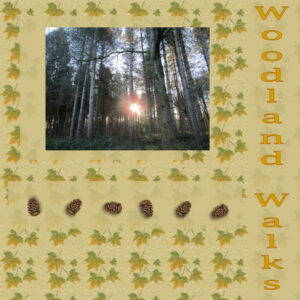 woodland-walks-600-size-day-5