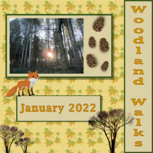 woodland-walks-version-2-600-size-day-5-project-2