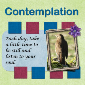 contemplation-600-2