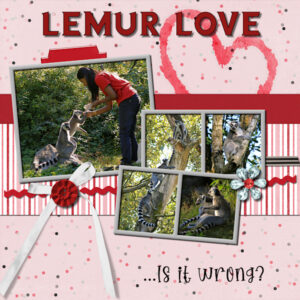 day-4-qp-lemur-love-600