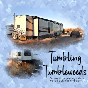 lesson-6-tumble-weeds-3-sm
