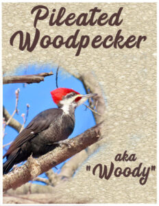 masks-day4-pileated-woodpecker_600-2