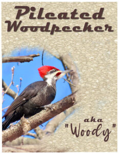 masks-day4-pileated-woodpecker_600