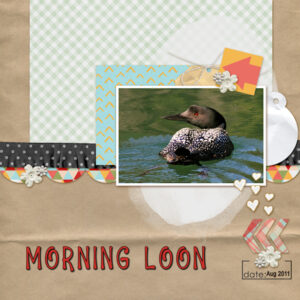 qp-extra5-morning-loon-600