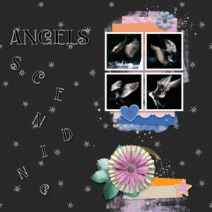 qp-extra6-angels-600
