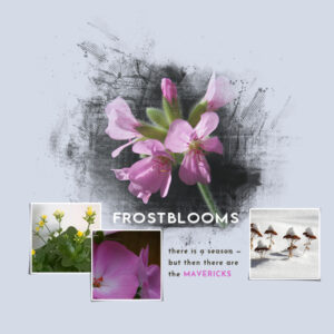 frostblooms_masks1_600