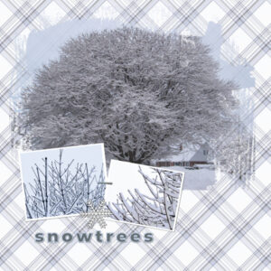 snowtrees_masks2_600