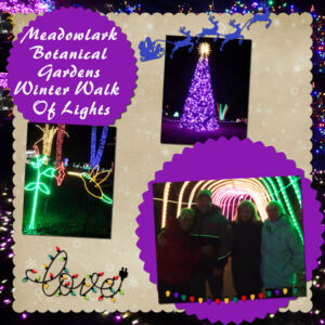 2021-12-19-botanical-gardens-festiveal-of-lights-cass-template7-600