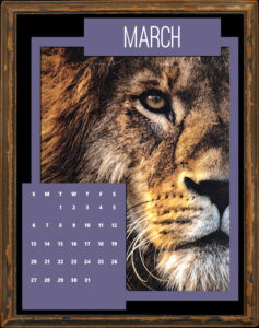 big-cat-calendar-march-2022-600-2